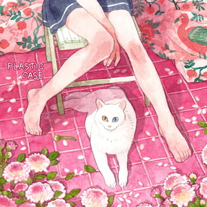 무릎과 무릎 사이 (Between The Knees)