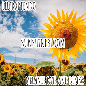 SunshineBloom