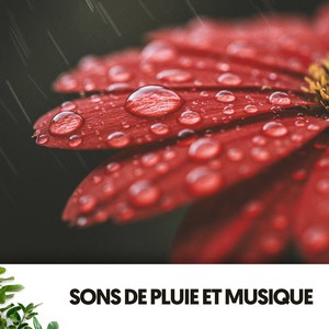 Sons de Pluie et Musique: Mélodies de la Pluie