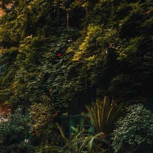 Te Quedaste con Nada