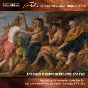 Geschwinde, ihr wirbelnden Winde, BWV 201 - Recitative: Und du bist doch so unverschämt und frei (Phoebus, Pan, Momus)