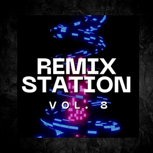 Remix Station Vol. 8 (Explicit)