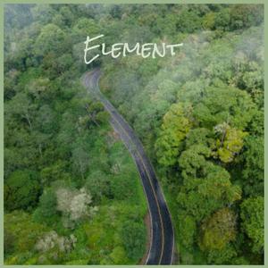 Element