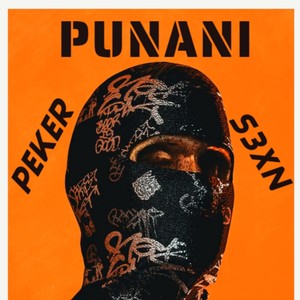 PUNANI (feat. s3xn) (Explicit)