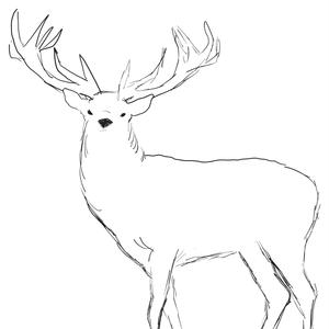 Full Throttle Hip Replacement