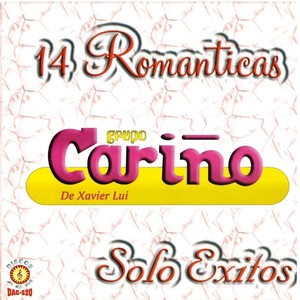 14 Romanticas Solo Exitos