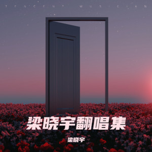 我要抱一抱 (Live) - 梁晓宇封面