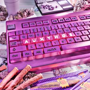 ENC//DNT4GT3 (feat. ManikinHotel) (Explicit)