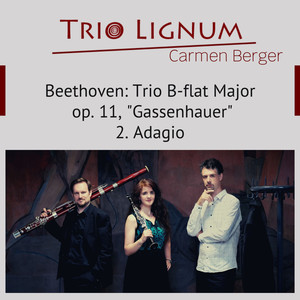 Trio B-Flat Major Op. 11, "Gassenhauer": 2. Adagio