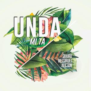 Unda Mi Ta(feat. Alicson)