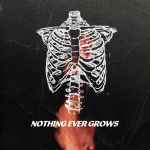 Nothing Ever Grows