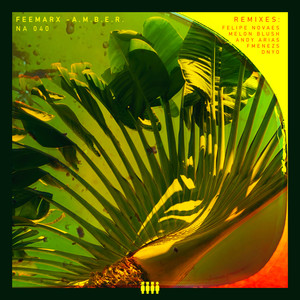 Lhasa (A.M.B.E.R Album DNYO Cyber Dub)