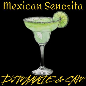 Mexican Senorita (Ted B. Remix)