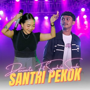 Santri Pekok (Live)