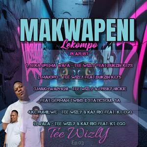 Makwapeni by Tee wizly Frisky Nicky and Germany twins beat maker, mastered by staticsoul SA
