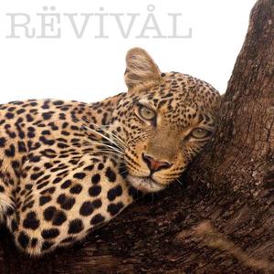 King Kelechi - NØ ÇĄP (Explicit)