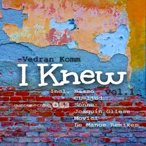 I Knew (Joaquín Gliese Remix)
