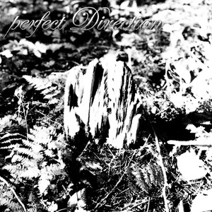 Perfect Direction (Explicit)