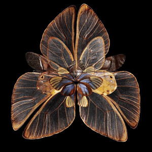 Everything Feels (LowCree Edit)