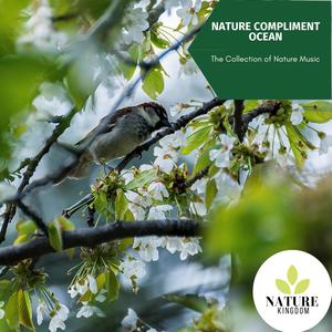 Nature Compliment Ocean - The Collection of Nature Music