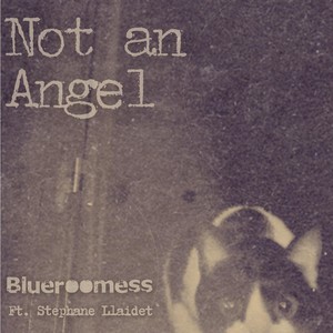 Not an Angel (feat. Stéphane Laidet)