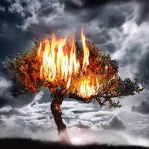 stain (feat. whytier) (Explicit)