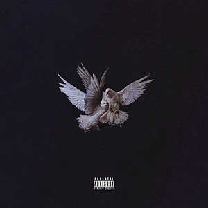 AM - Fly Away (Explicit)