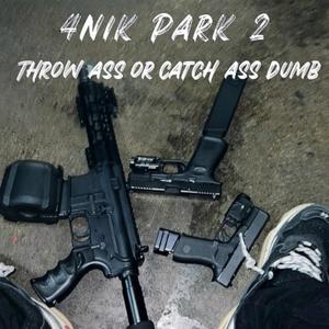 4NIK pt2 (feat. Zipsum dee) (Radio Edit|Explicit)