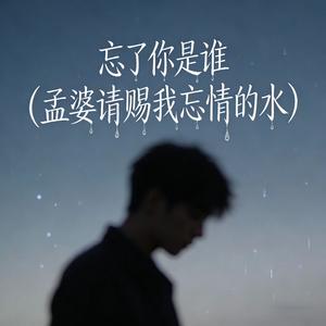 忘了你是谁 (伴奏|孟婆请赐我忘情的水)