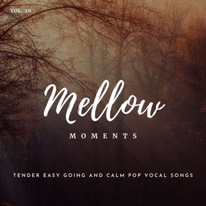 The Only Song (Original Mix)