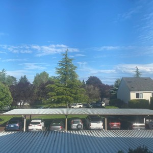 Freestyle by Synu (Explicit)