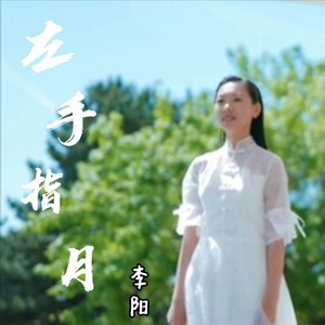 左手指月
