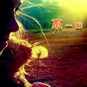 我们的宇宙