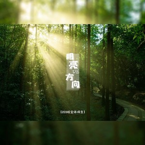 明亮的方向