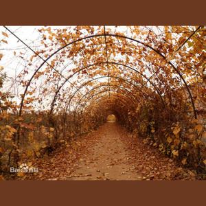 科技师院人之歌(河北科师校歌)