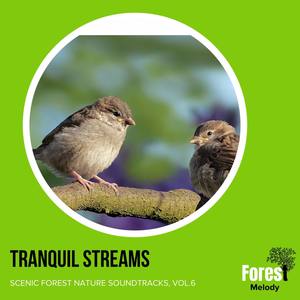 Tranquil Streams - Scenic Forest Nature Soundtracks, Vol.6