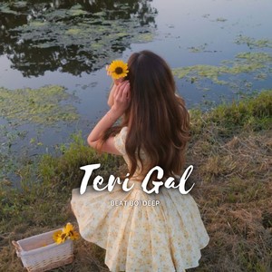 Teri Gal