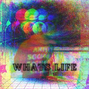 Whats Life (Explicit)