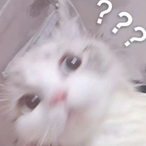 最喜欢你的样子 (伴奏)