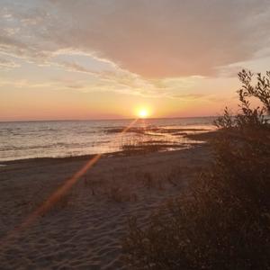 Ray (feat. Chances R Good)