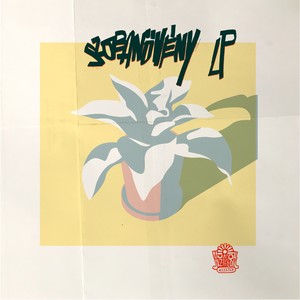 Szobanövény (Lp)