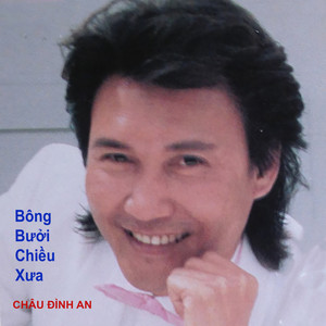 Châu Đình An