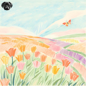 Let fly the butterfly