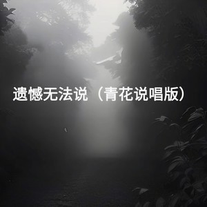 遗憾无法说 (青花说唱版)