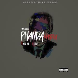 Phanda Mandela(feat. Ntrs Lyon & Beezy) (Explicit)