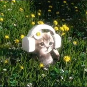 Dans la soirée!!! >_< (Explicit)