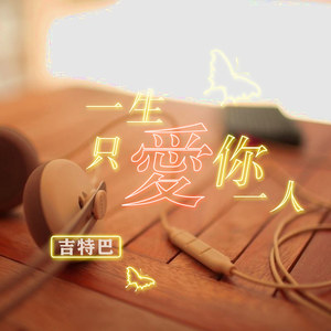 一生只爱你一人 (赵小南)封面