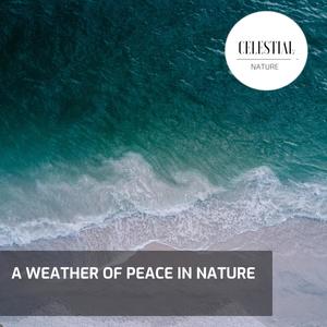 A Weather of Peace in Nature