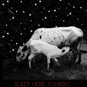 Sleep Here Tonight (feat. AKAsublime)