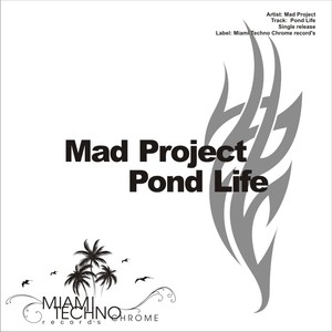 Pond Life (Original Mix)